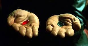 Interpretability or Predictability?
